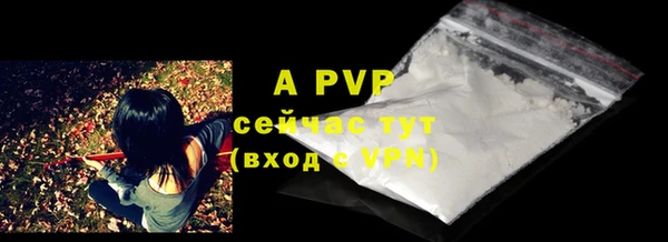 ПСИЛОЦИБИНОВЫЕ ГРИБЫ Гусиноозёрск