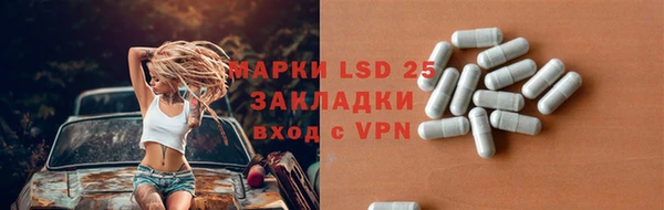 мяу мяу мука Гусев