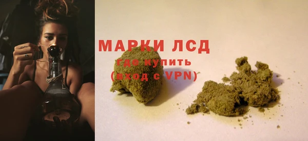 крисы Горняк