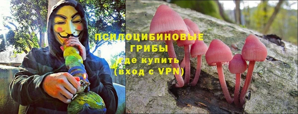 мяу мяу мука Гусев