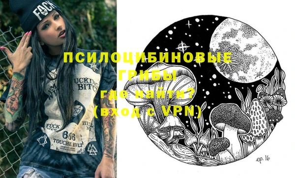 a pvp Гусь-Хрустальный