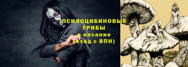 ПСИЛОЦИБИНОВЫЕ ГРИБЫ Гусиноозёрск
