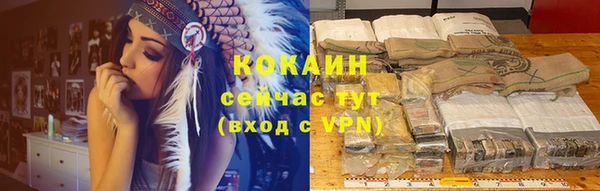 мяу мяу мука Гусев