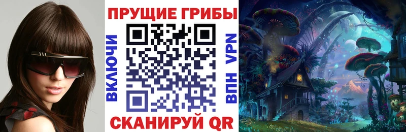 Галлюциногенные грибы Psilocybine cubensis  цены   Дятьково 