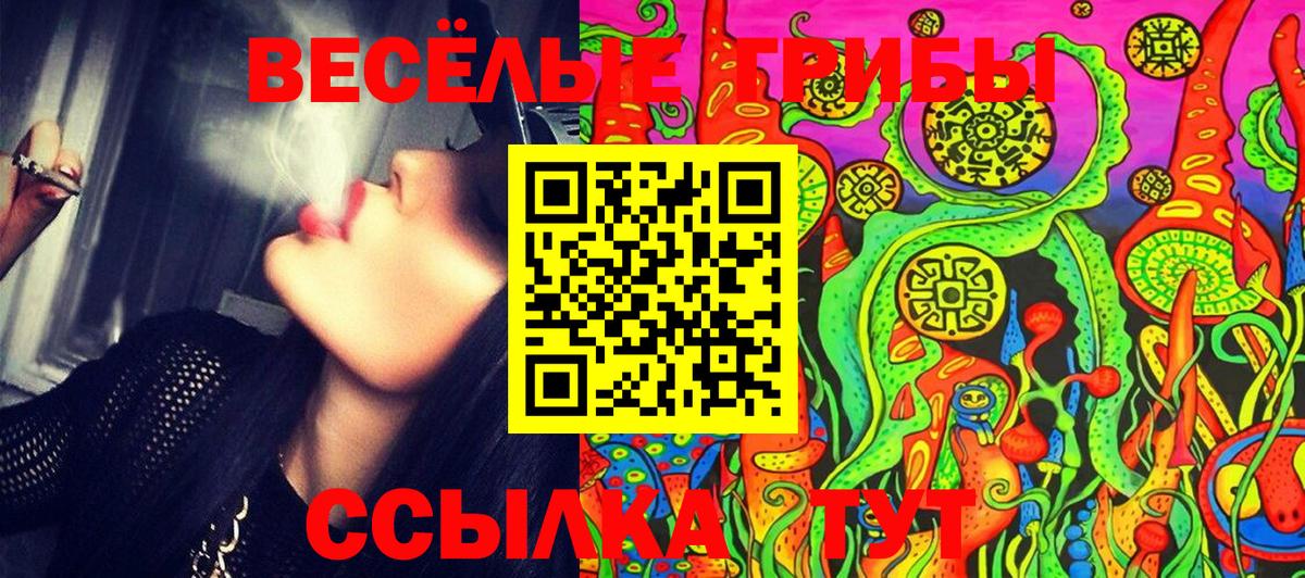 Галлюциногенные грибы ЛСД Дятьково